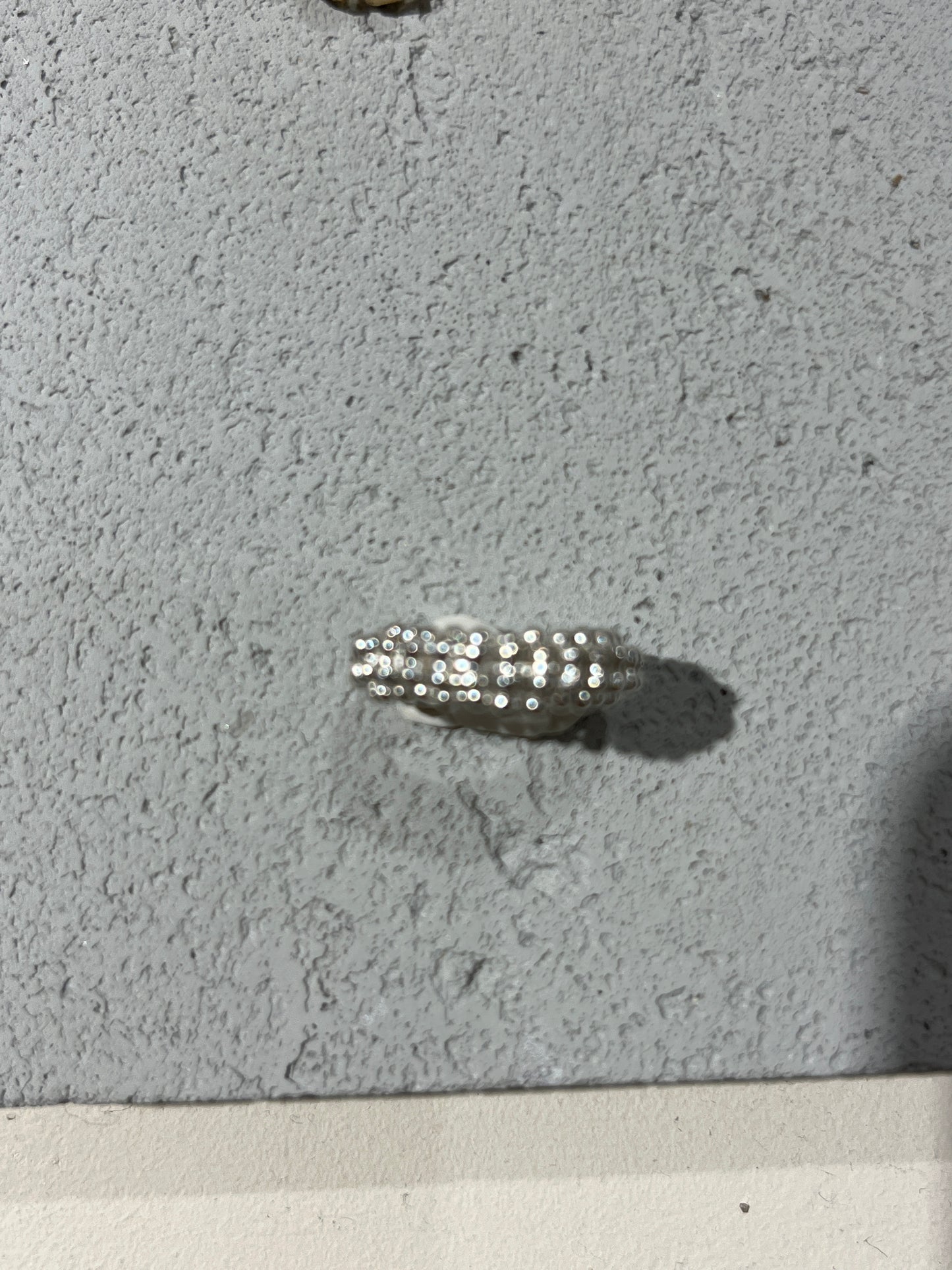 Earcuff Deia maxi argenté