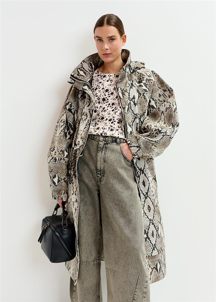 Manteau Identify python