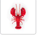 BROCHE HOMARD