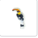 BROCHE OISEAU CALAO