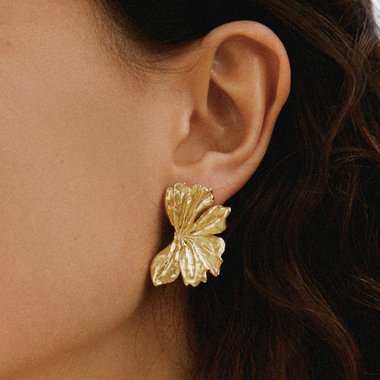 Grandes boucles DONIS