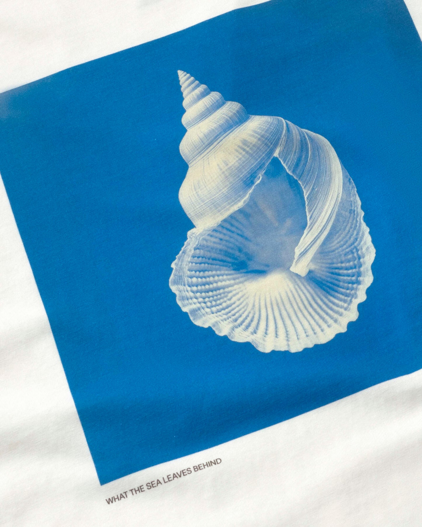 T-shirt Lena coquillage