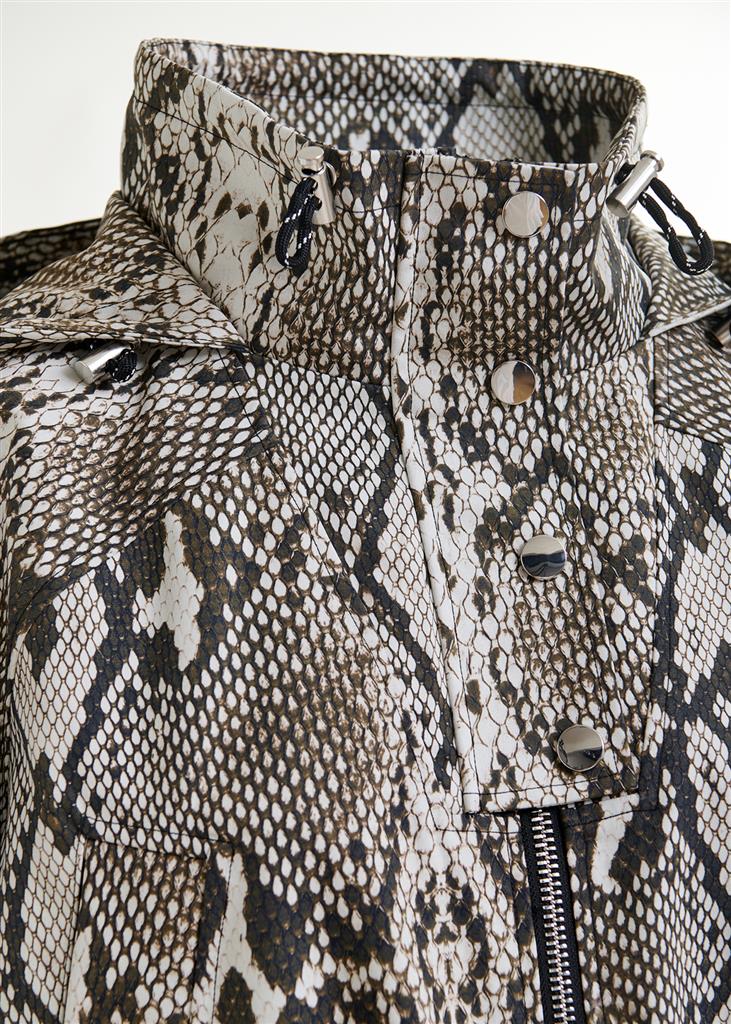 Manteau Identify python